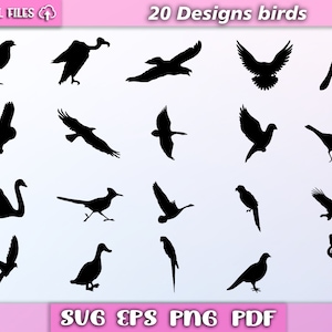 Ptaki SVG/ptaki pakiet SVG/sylwetka ptaków/ptak SVG/wektor ptak/ptak clipart/pliki cyfrowe SVG/EPS/pdf/Png/SVG