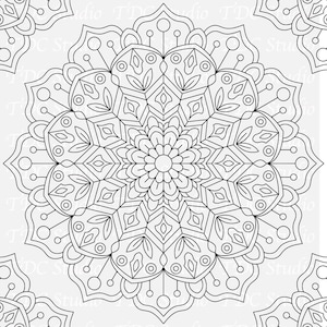 Advanced Mandala Coloring Book Volume 4 , 120+ Designs A4 PDF Digital Download