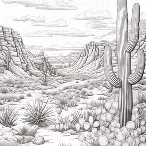 Op de afbeelding: Een zwart-witte potloodtekening van een woestijnlandschap met een grote saguaro-cactus op de voorgrond. De tekening toont een canyon met rotsachtige kliffen en een verscheidenheid aan woestijnplanten, waaronder stekelige peercactus en yucca.