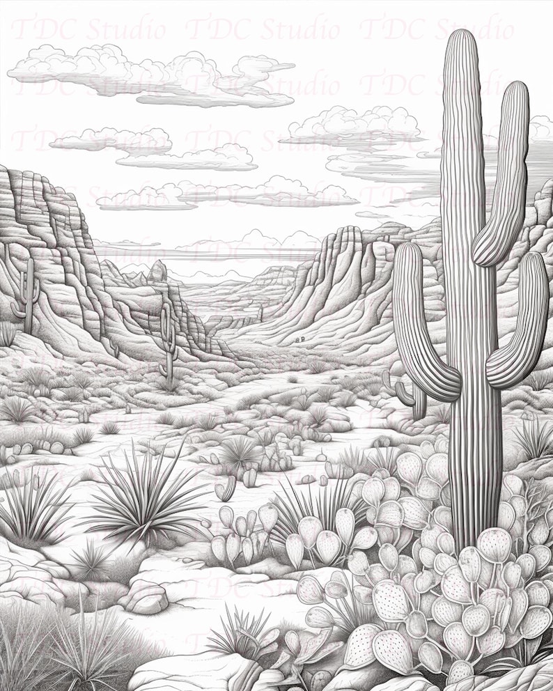 Op de afbeelding: Een zwart-witte potloodtekening van een woestijnlandschap met een grote saguaro-cactus op de voorgrond. De tekening toont een canyon met rotsachtige kliffen en een verscheidenheid aan woestijnplanten, waaronder stekelige peercactus en yucca.
