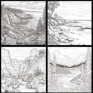 Op de afbeelding: Een zwart-witte illustratie van vier verschillende landschappen. Het eerste landschap toont een rotsachtige kustlijn met een watermassa op de achtergrond. Het tweede landschap toont een strand met een rotsachtige klif op de achtergrond. Het derde landschap toont een kloof met een rivier die er doorheen stroomt. Het vierde landschap toont een bergketen met een rivier die door een bos stroomt.