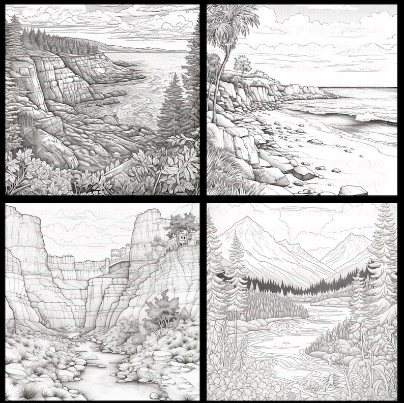Op de afbeelding: Een zwart-witte illustratie van vier verschillende landschappen. Het eerste landschap toont een rotsachtige kustlijn met een watermassa op de achtergrond. Het tweede landschap toont een strand met een rotsachtige klif op de achtergrond. Het derde landschap toont een kloof met een rivier die er doorheen stroomt. Het vierde landschap toont een bergketen met een rivier die door een bos stroomt.