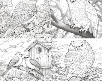 27 Birds Coloring Pages | Beautiful Songbirds & Forest Bird Coloring Book for Adults | Nature Wildlife Printable Art PDF | Bird Lover Book