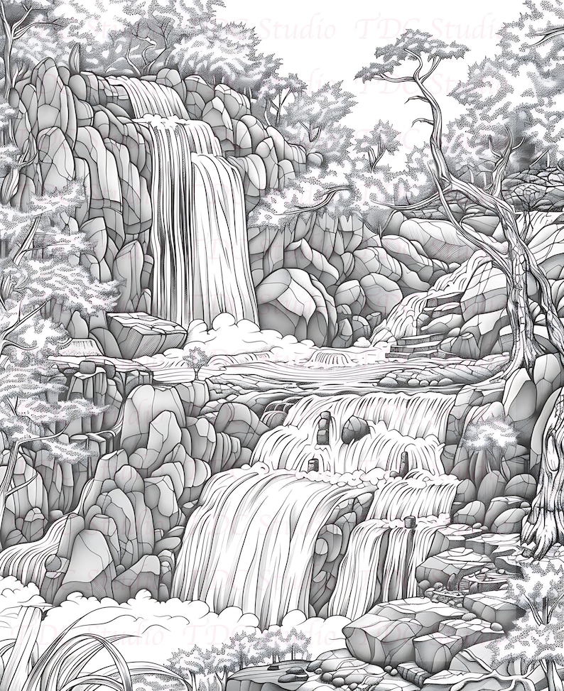 Op de afbeelding: Een zwart-witte lijntekening van een waterval die over rotsen en door een weelderig bos stort. De tekening toont gedetailleerd gebladerte en een gevoel van diepte.