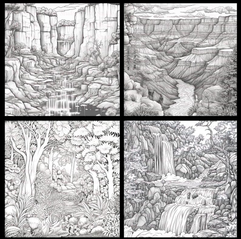 Op de afbeelding: Een zwart-witte illustratie met vier verschillende sc&egrave;nes met watervallen en canyons. De eerste sc&egrave;ne toont een waterval die een canyon afdaalt. De tweede sc&egrave;ne toont een brede canyon met een rivier die erdoorheen stroomt. De derde sc&egrave;ne toont een waterval die door een weelderig bos stroomt. De vierde sc&egrave;ne toont een waterval die een rotsachtige klif afdaalt.