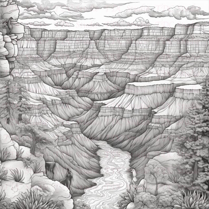 Op de afbeelding: Een zwart-witte potloodtekening van de Grand Canyon, met een kronkelende rivier aan de voet van de canyon en een rotsachtige klif aan de linkerkant van de afbeelding.
