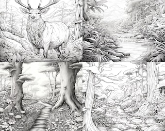 25 boskleurplaten voor volwassenen | Bos, herten, bossen, bomen en natuur Kunstscènes in grijstinten Ontspannend landschap Kleurboek pdf