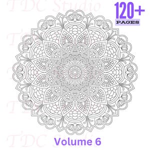 May include: Black and white mandala design with intricate floral patterns. The image includes the text "120+ PAGES" and "Volume 6". This coloring book design is perfect for relaxation and creative expression.