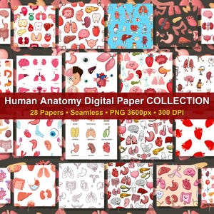 May include: A digital paper collection featuring various human anatomy patterns with illustrations of organs like hearts, lungs, brains, and stomachs. The text reads Human Anatomy Digital Paper COLLECTION, 28 Papers, Seamless, PNG 3600px, 300 DPI.