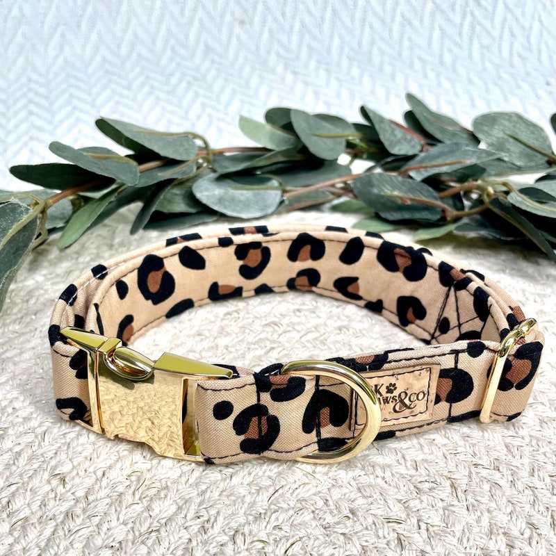 Leopard Dog Collar Lge