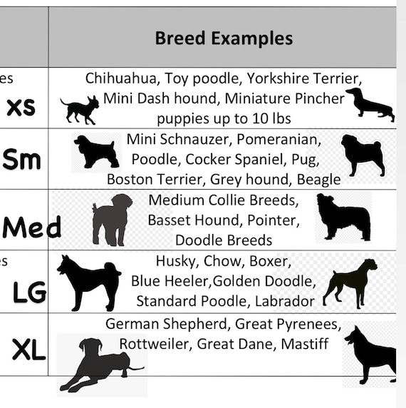 Terrier Breeds Size Chart terrier-breeds-size-chart