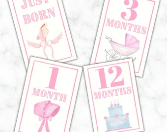 Floral Baby Milestone Cards Printable Monthly Milestone - Etsy