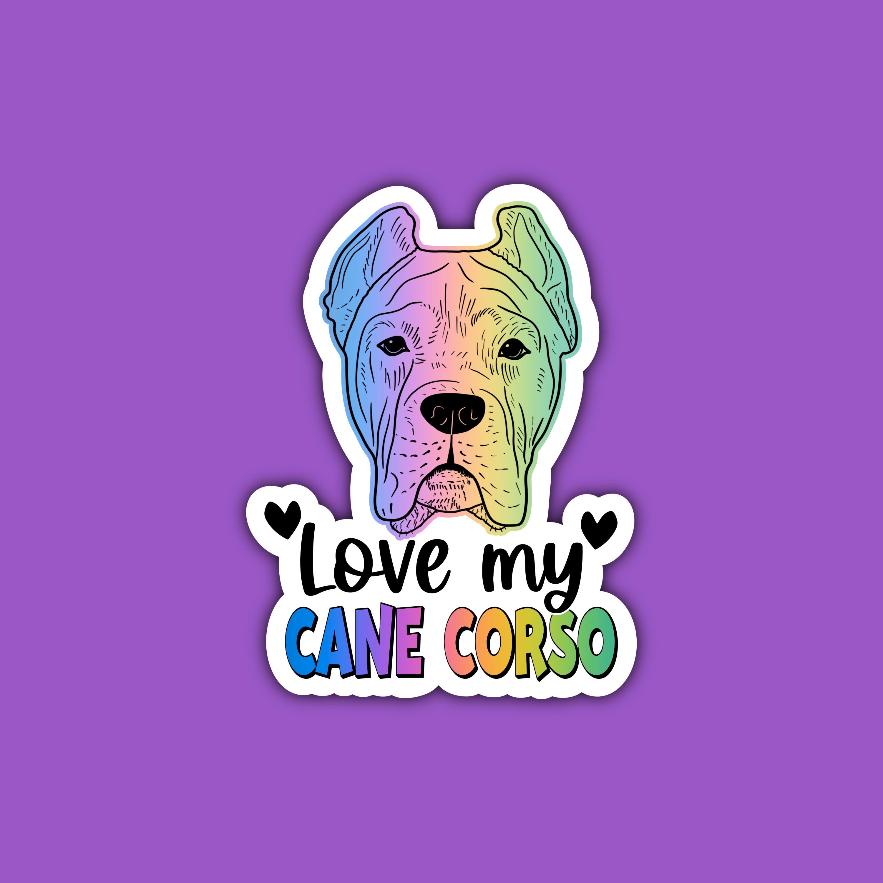 Cane Corso And Human: A Friendship For The Ages - d5yrzmn