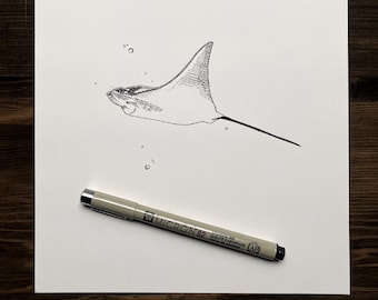 Stingray | Animal Drawing Wall Art | Art of Zoo | Animal Art Print | Various Sizes