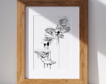 Toadstool Mushrooms On Tree | Fine Art Print | Mushrooms Ink Drawing Print | Toadstool Mushrooms | Various Sizes Available