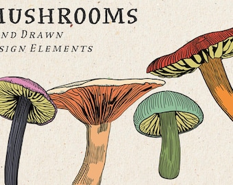 Conjunto de 4 ilustraciones de hongos, imágenes prediseñadas de hongos a color, arte mural de hongos, diseño de hongos, blanco y negro, uso comercial