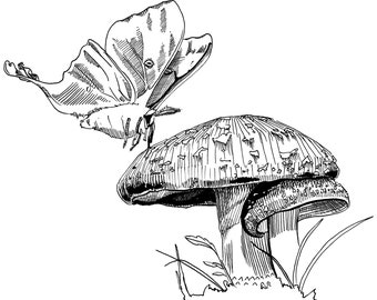 Mushroom and Butterfly | Fine Art Print | Mushroom Art | Butterfly Art | Various Print Sizes