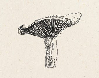 Morel Mushroom Art, Mushroom Illustration, Mushroom Clipart, Mushroom Wall Art, Mushroom Design, Black and White, Commercial Use