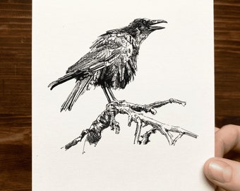 Crow  | Animal Drawing Wall Art | Art of Zoo | Animal Art Print | Various Sizes