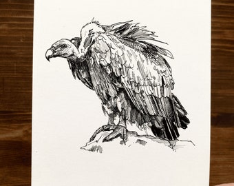 Vulture | Animal Drawing Wall Art | Art of Zoo | Animal Art Print | Various Sizes