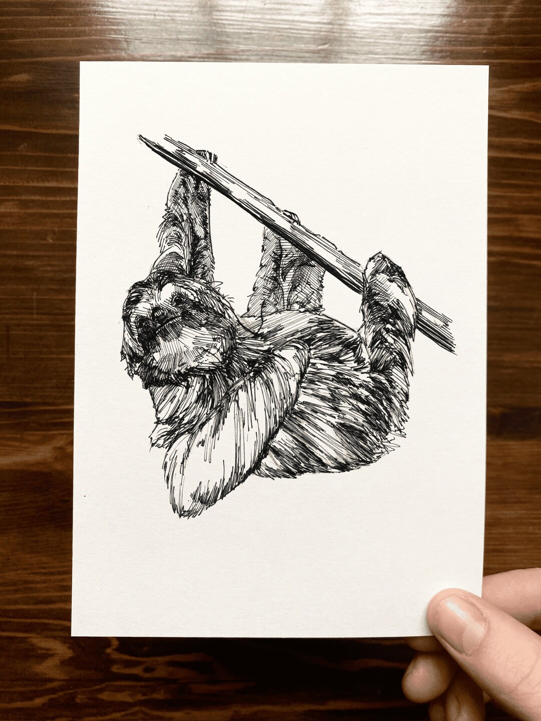 Sloth Animal Drawing Wall Art Art of Zoo Animal Art Print Various Sizes Etsy