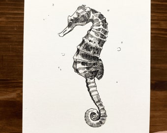 Seahorse | Animal Drawing Wall Art | Art of Zoo | Animal Art Print | Various Sizes