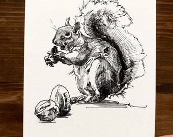 Squirrel  | Animal Drawing Wall Art | Art of Zoo | Animal Art Print | Various Sizes
