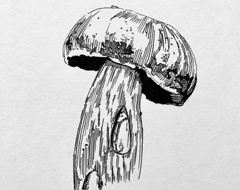 Porcini Mushroom | Fine Art Print | Mushroom Drawing | Porcini Mushroom Ink Drawing | Various Sizes Available