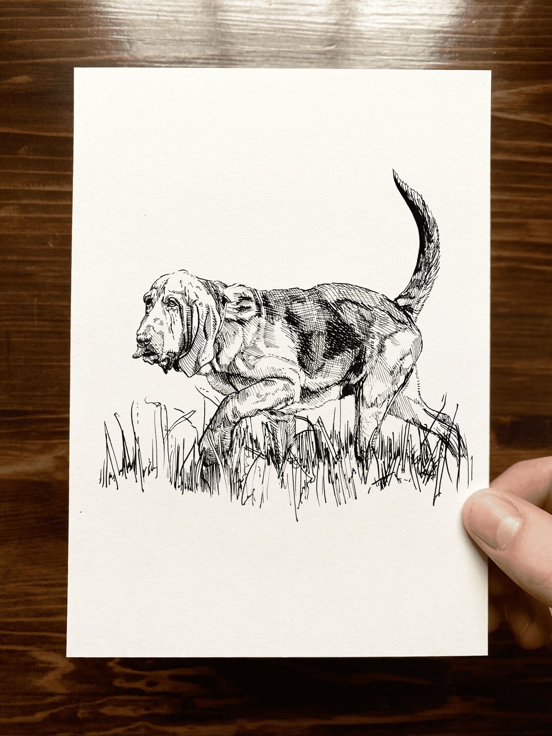 Bloodhound Animal Drawing Wall Art Art of Zoo Animal Art Print Various Sizes Etsy