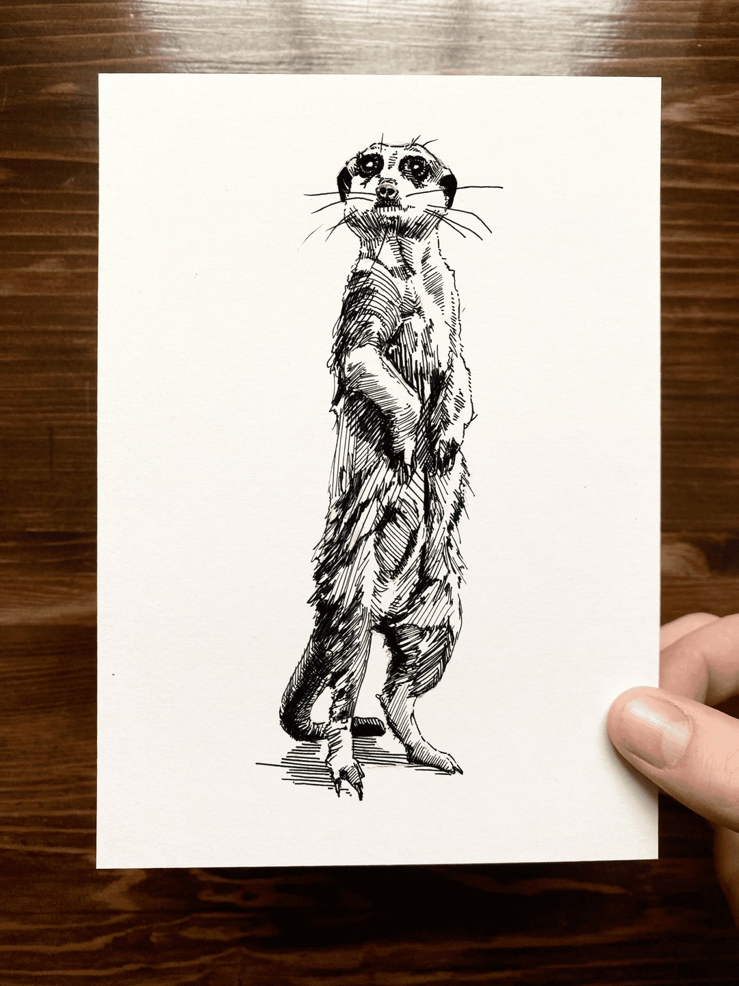 Meerkat Animal Drawing Wall Art Art of Zoo Animal Art Print Various Sizes Etsy