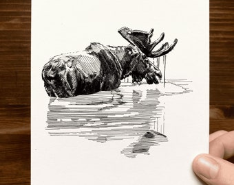 Moose | Animal Drawing Wall Art | Art of Zoo | Animal Art Print | Various Sizes