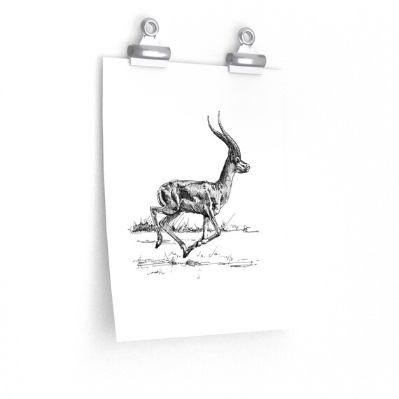Gazelle Ink Drawing Print 9x11 Animal Art Print - Etsy Denmark