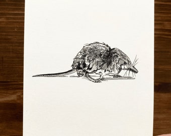 Shrew Art Print | Black Ink Animal Drawing