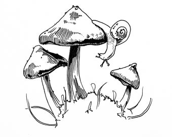 Mushrooms with Snail | Fine Art Print | Mushrooms with Garden Snail Illustration | Mushrooms Ink Drawing | Various Sizes Available