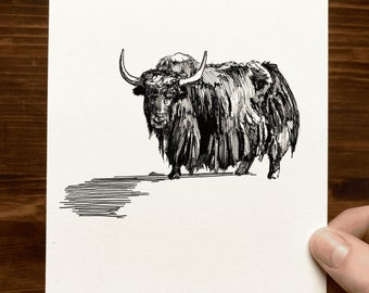Yak | Animal Drawing Wall Art | Art of Zoo | Animal Art Print | Various Sizes