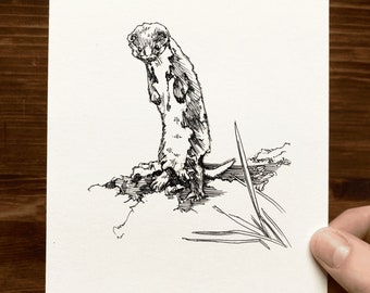 Weasel | Animal Drawing Wall Art | Art of Zoo | Animal Art Print | Various Sizes