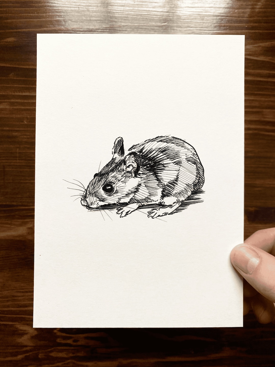 Wood Mouse Animal Drawing Wall Art Art of Zoo Animal Art Etsy