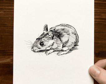 Wood Mouse | Animal Drawing Wall Art | Art of Zoo | Animal Art Print | Various Sizes