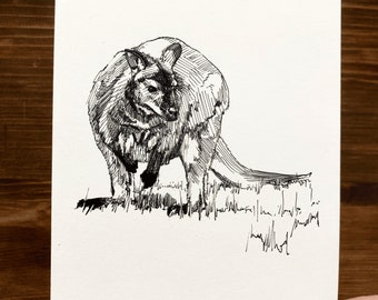 Wallaby | Animal Drawing Wall Art | Art of Zoo | Animal Art Print | Various Sizes