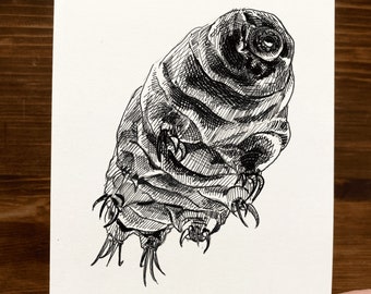 Tardigrade | Animal Drawing Wall Art | Art of Zoo | Animal Art Print | Various Sizes