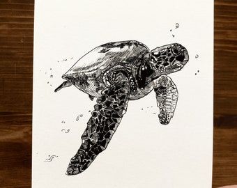 Sea Turtle | Animal Drawing Wall Art | Art of Zoo | Animal Art Print | Various Sizes