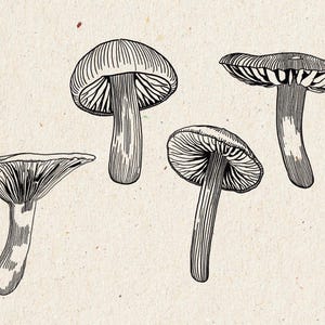 Pilze Linie Kunst, Pilz Illustration, Pilz Clipart, Pilz Wandkunst, Pilzdesign, schwarz und weiß, kommerzielle Nutzung