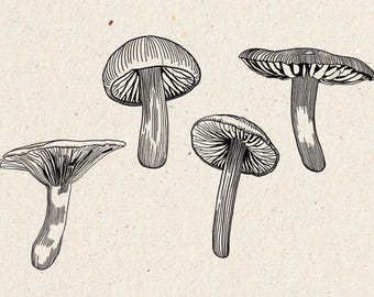Mushrooms Line Art, Mushroom Illustration, Mushroom Clipart, Mushroom Wall Art, Mushroom Design, Black and White, Commercial Use