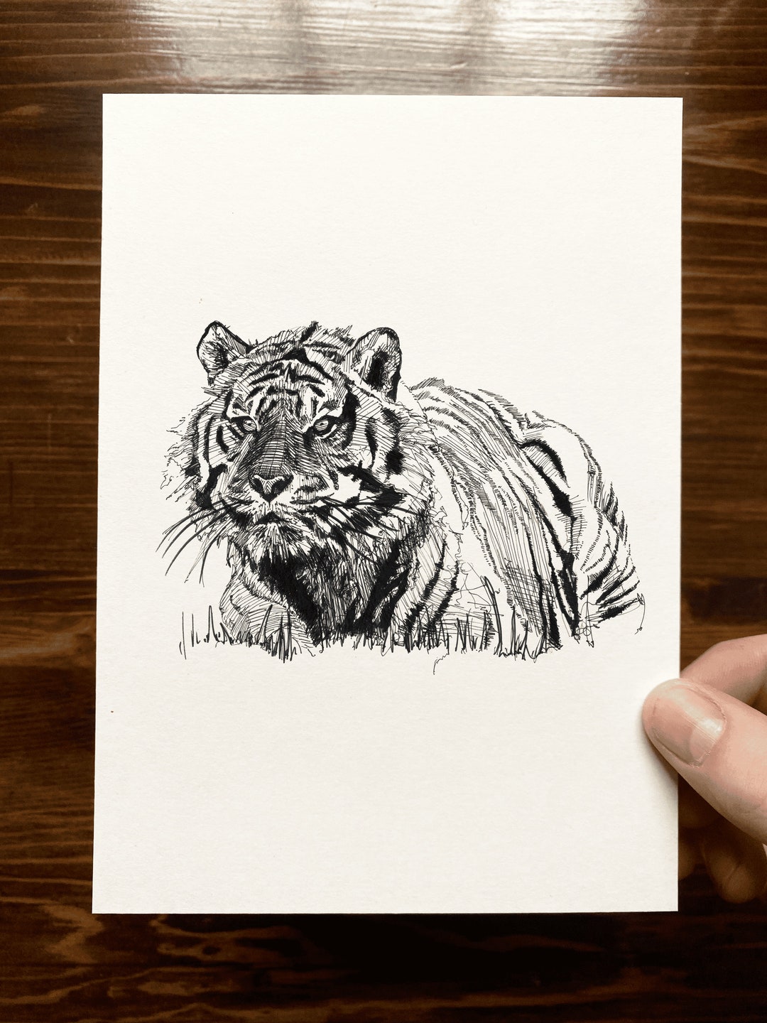 Bengal Tiger | Animal Drawing Wall Art | Art of Zoo | Animal Art Print ...