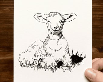 Lamb | Animal Drawing Wall Art | Art of Zoo | Animal Art Print | Various Sizes