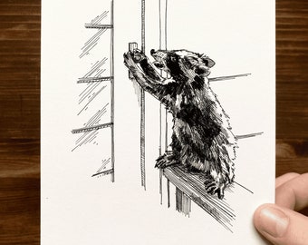 Raccoon | Animal Drawing Wall Art | Art of Zoo | Animal Art Print | Various Sizes