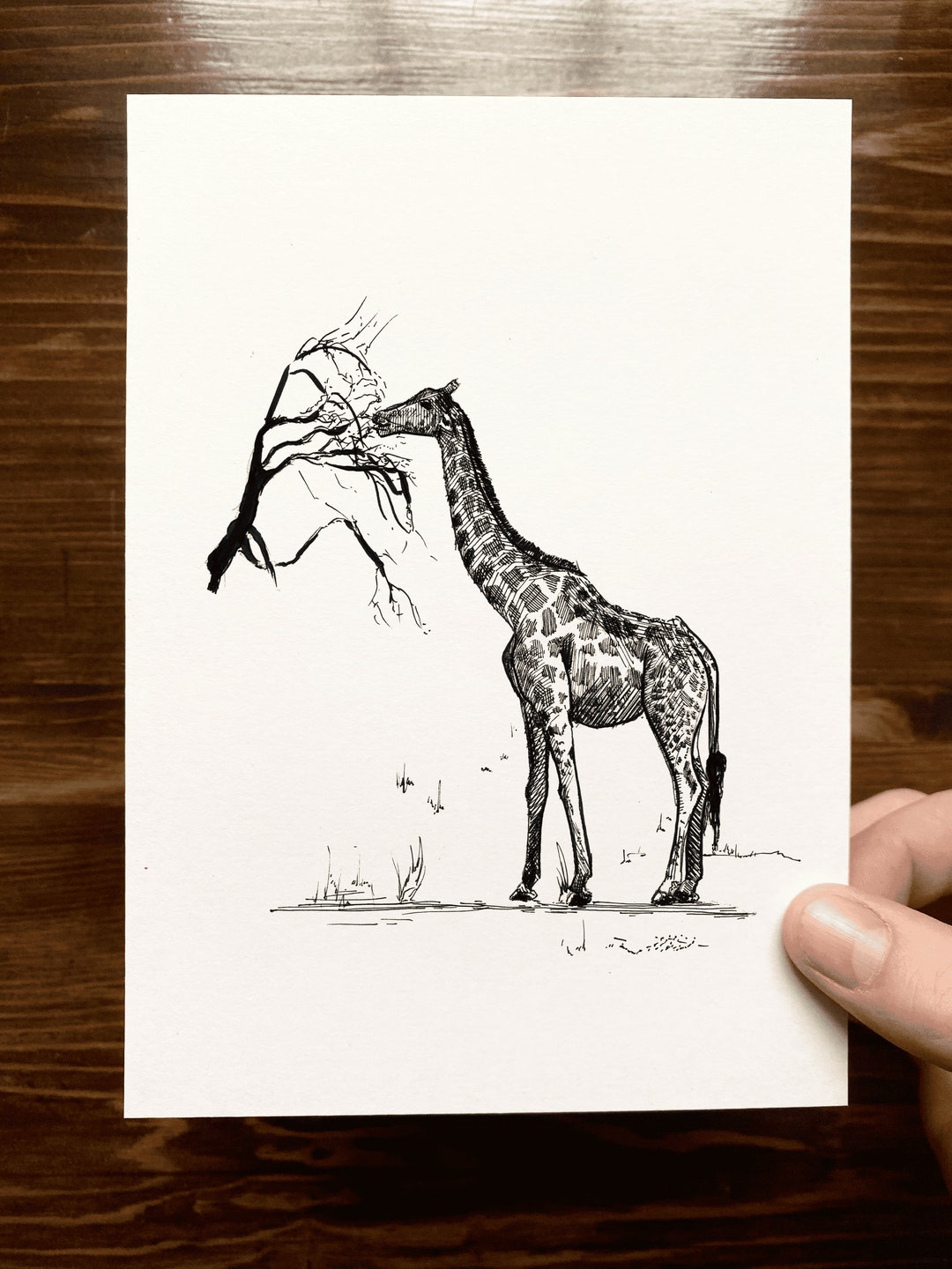 Giraffe Animal Drawing Wall Art Art of Zoo Animal Art Print Various Sizes Etsy