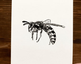 Wasp | Animal Drawing Wall Art | Art of Zoo | Animal Art Print | Various Sizes