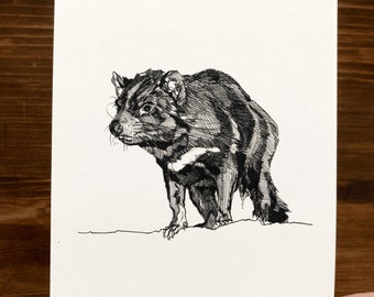 Tasmanian Devil | Animal Drawing Wall Art | Art of Zoo | Animal Art Print | Various Sizes
