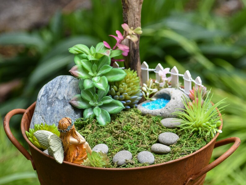 Miniature Fairy Garden Plants Live Tillandsia Air Plants for Enchanted